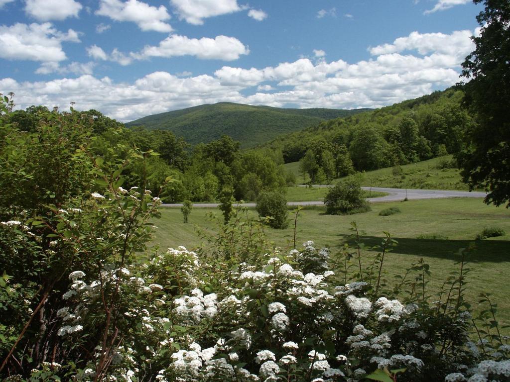 Margaretville Mountain Inn B&B Exterior photo